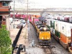 UP 8335
